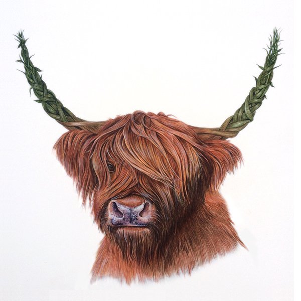 The highland stalker print