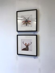 Walls Pop up gallery Ringsted  Maj 2017