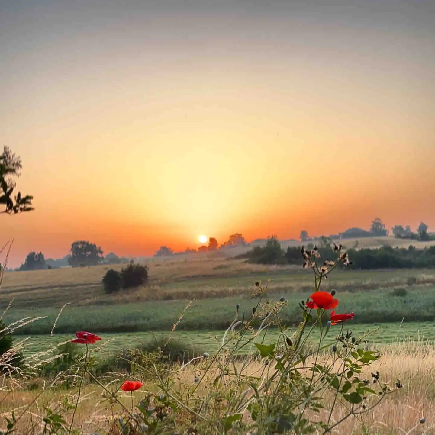 Getaway Art Classes for 2 people - D.13-14 May - Unleash Your Inner Artist