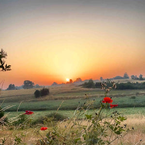 Getaway Art Classes for 2 people - D.13-14 May - Unleash Your Inner Artist