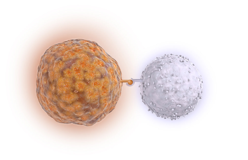 cell illustration